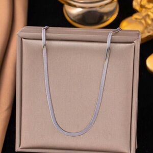 Silver Plated Stainless Steel 2mm Snake Necklace